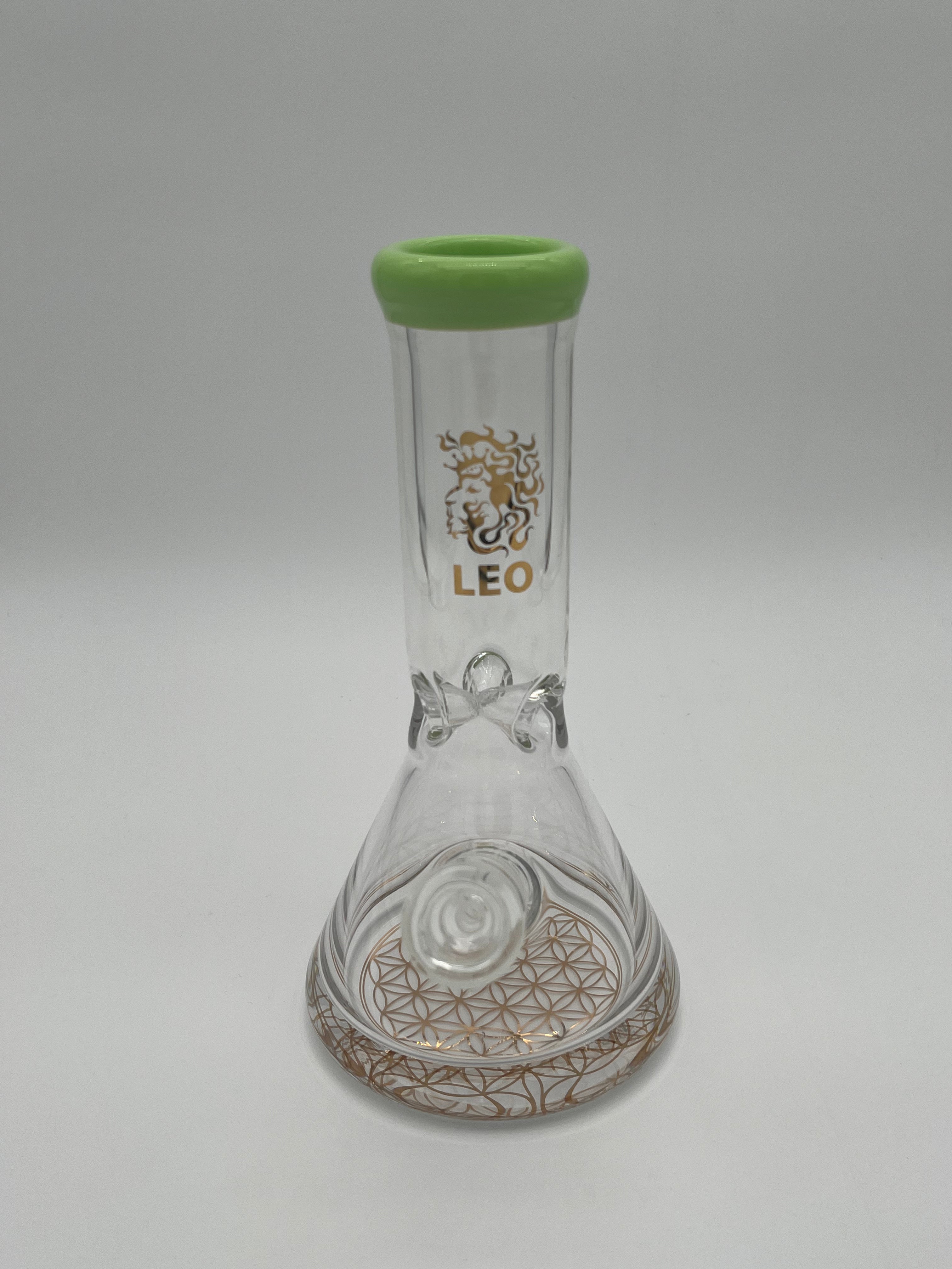 Leo 10" Waterpipe Super Wide