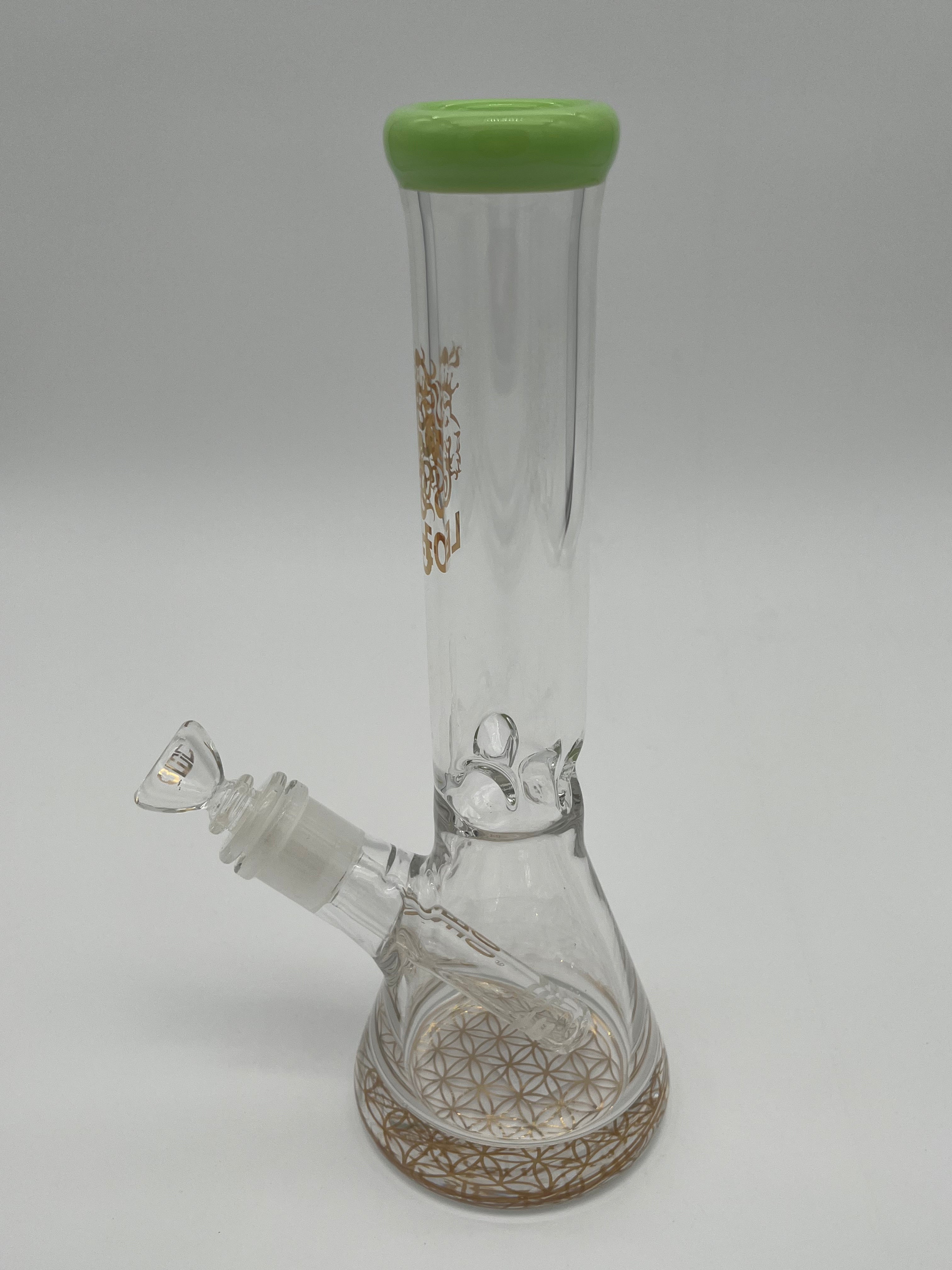 10" Skinny Leo Beaker Water Pipe