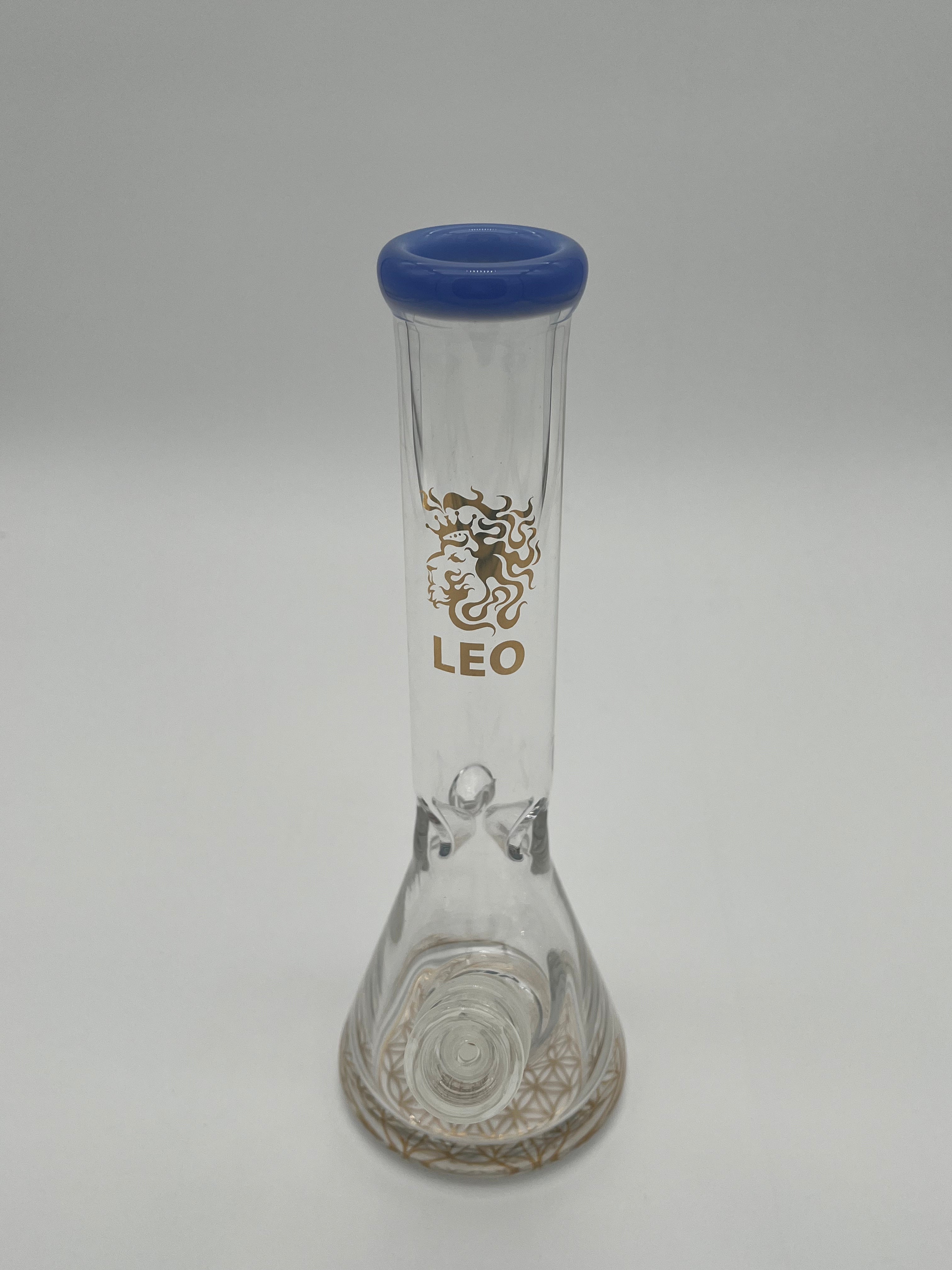 10" Skinny Leo Beaker Water Pipe