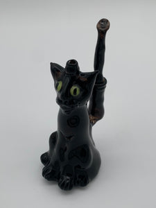 C Kats Glass Cat Rig