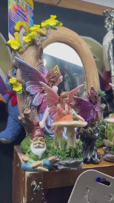 Video of a fairy garden featuring gnomes, wizards, dragons, fairies, and other magical items.