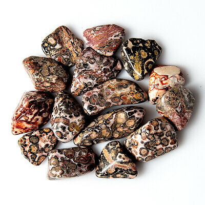 Tumbled Leopard Skin Jasper