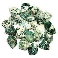 Tumbled Tree Agate